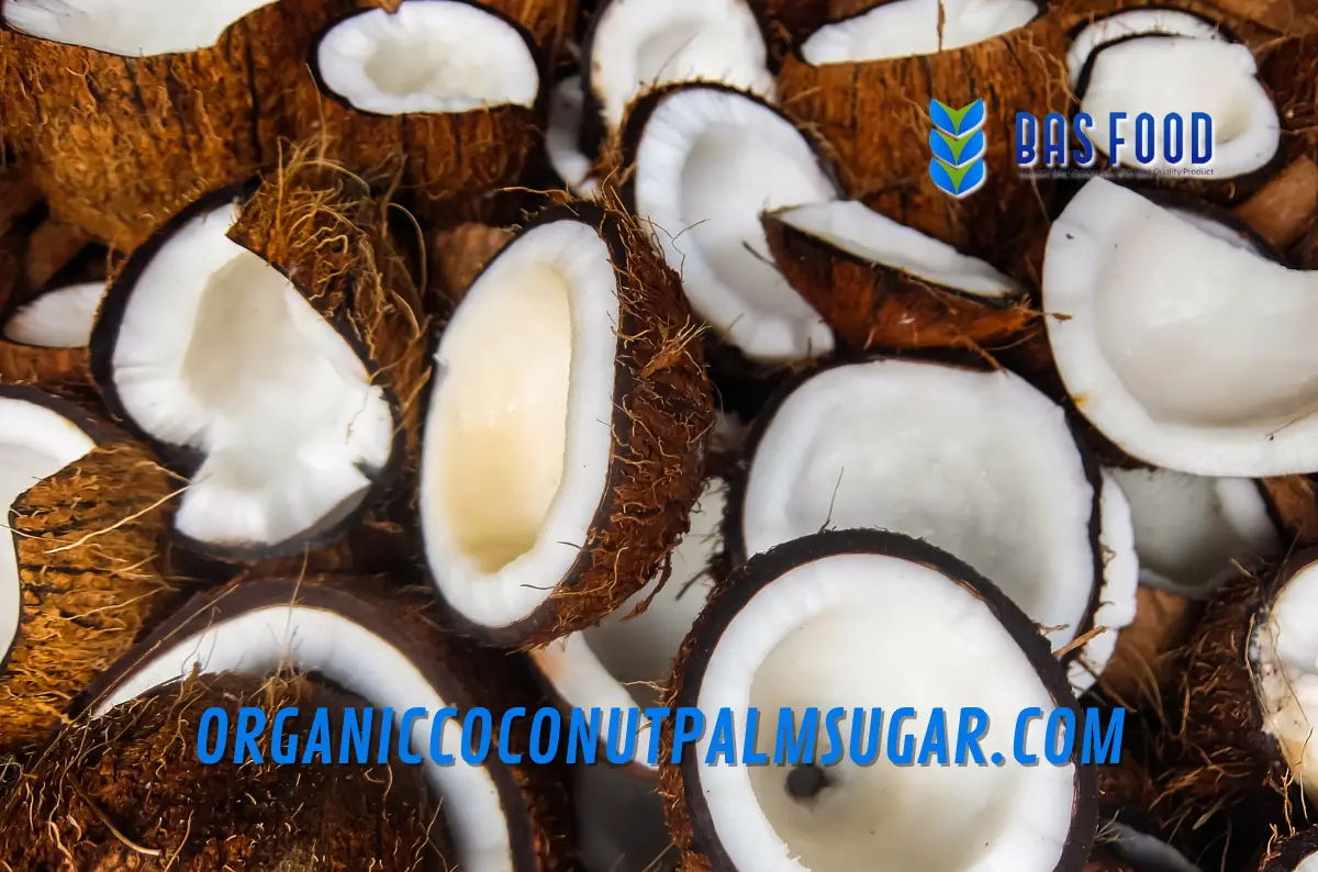 Sustainable Desiccated Coconut: How Eco-Friendly Farming Shapes Global Exports