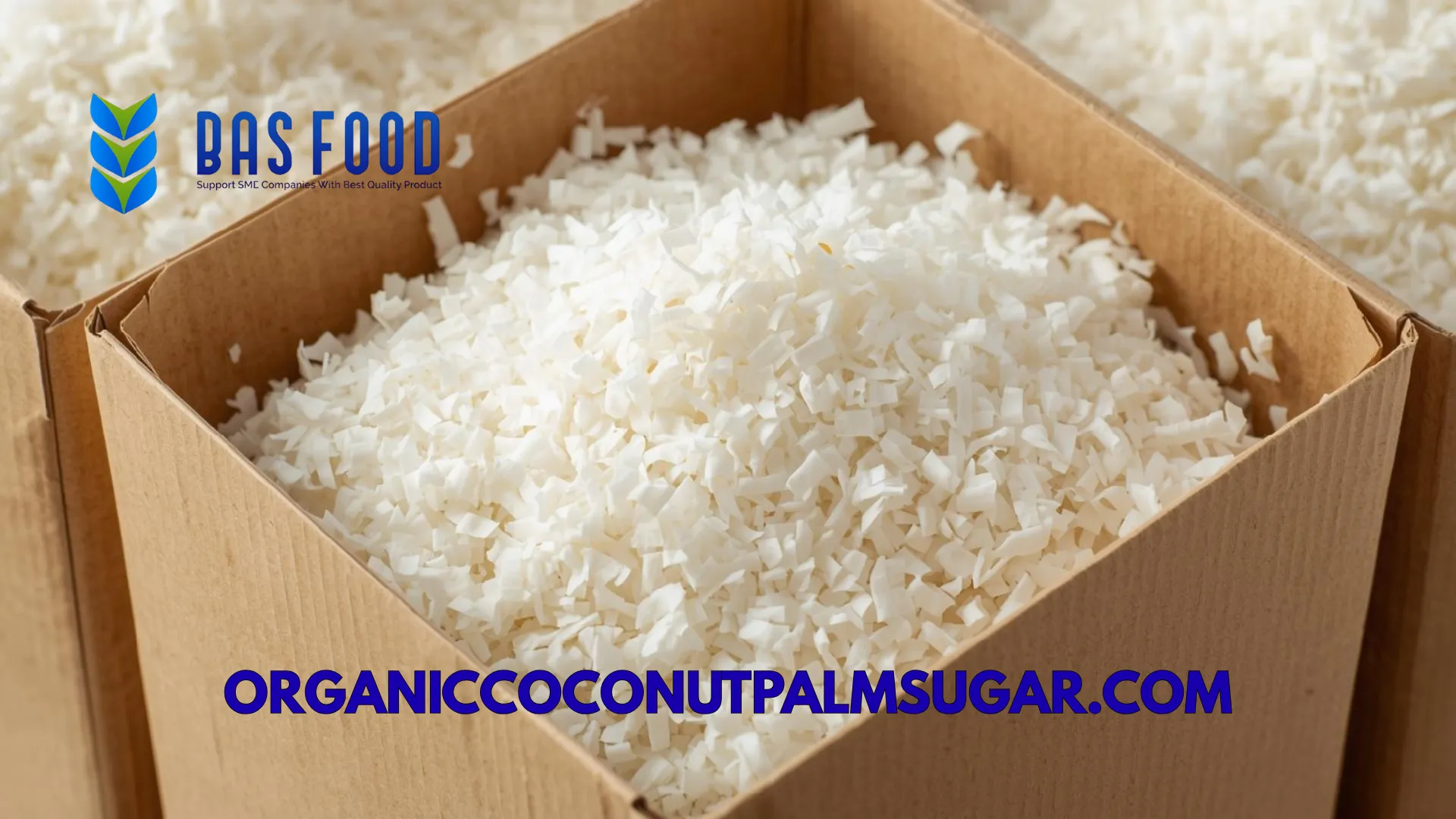 desiccated coconut shipping