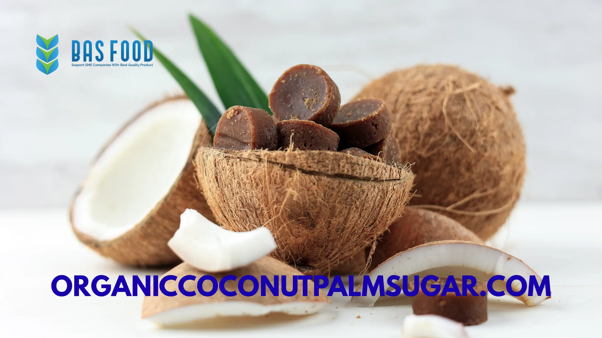organic coconut sugar export indonesia