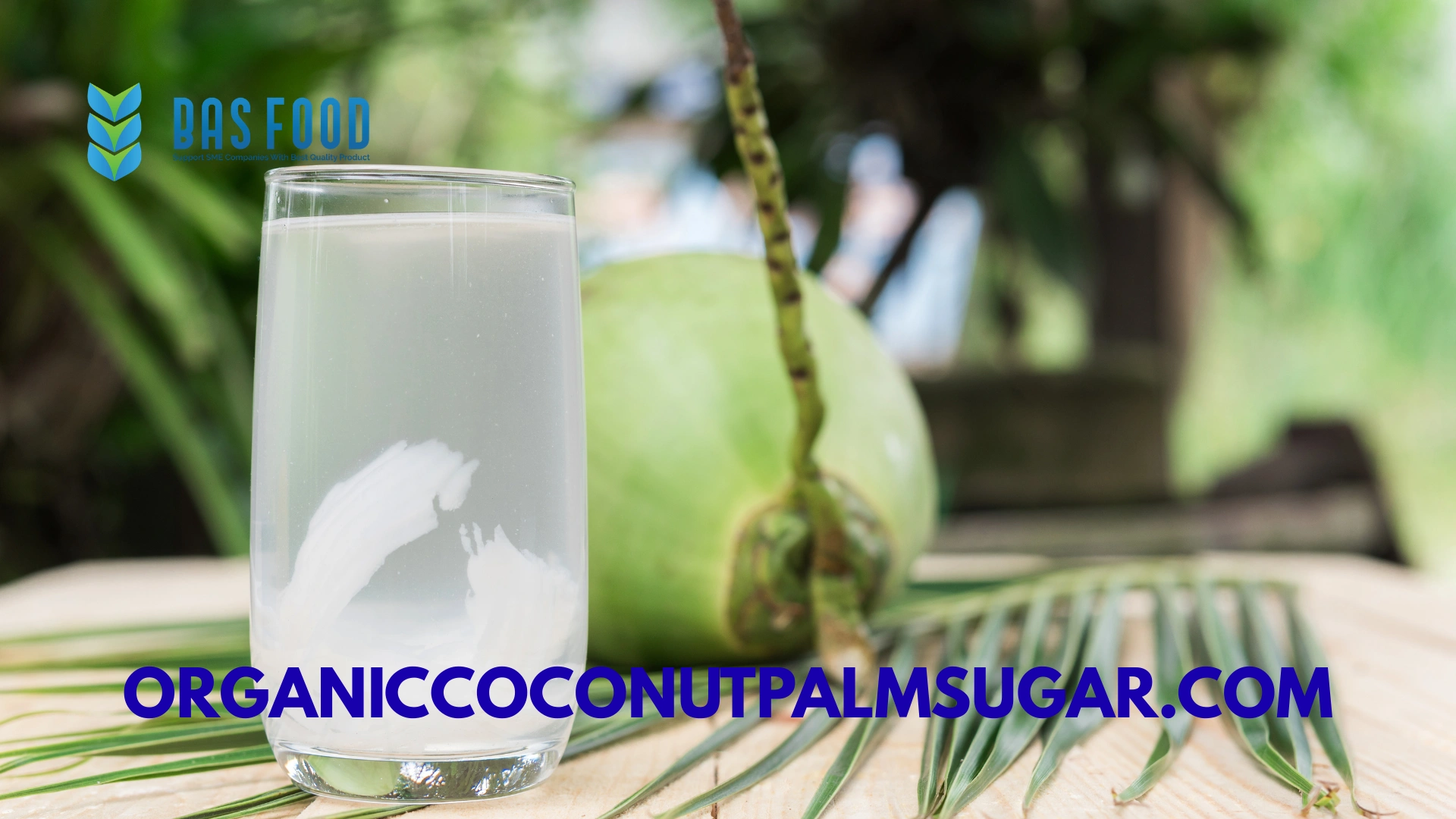 CV Bonafide Anugerah Sentosa organic coconut water