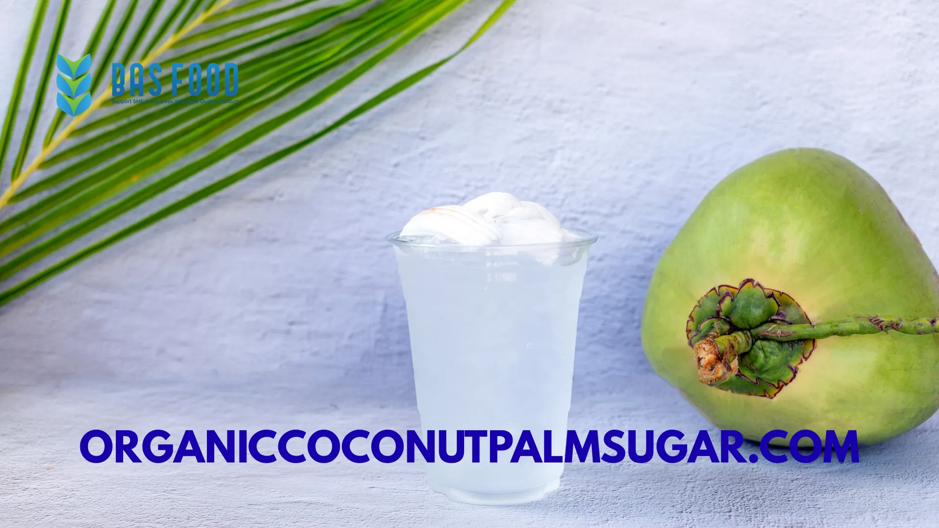 organic coconut water export indonesia