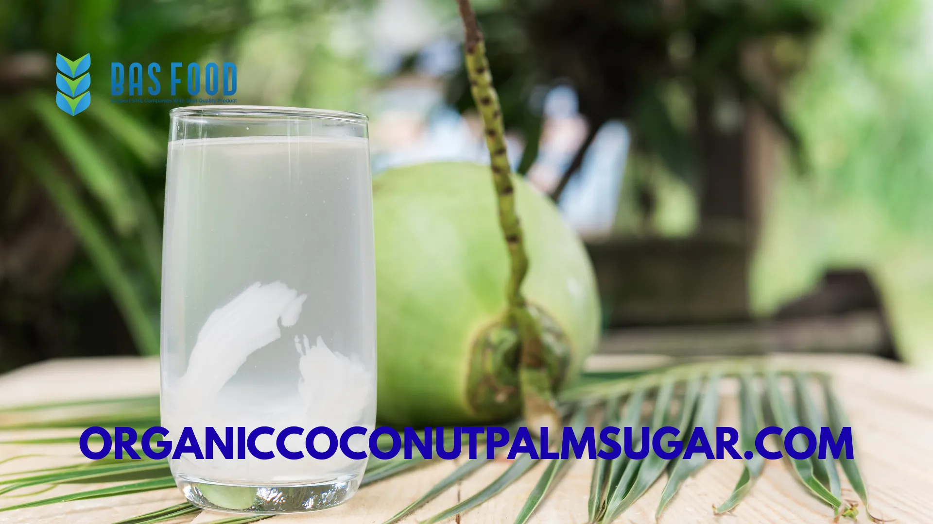 organic coconut water supplier