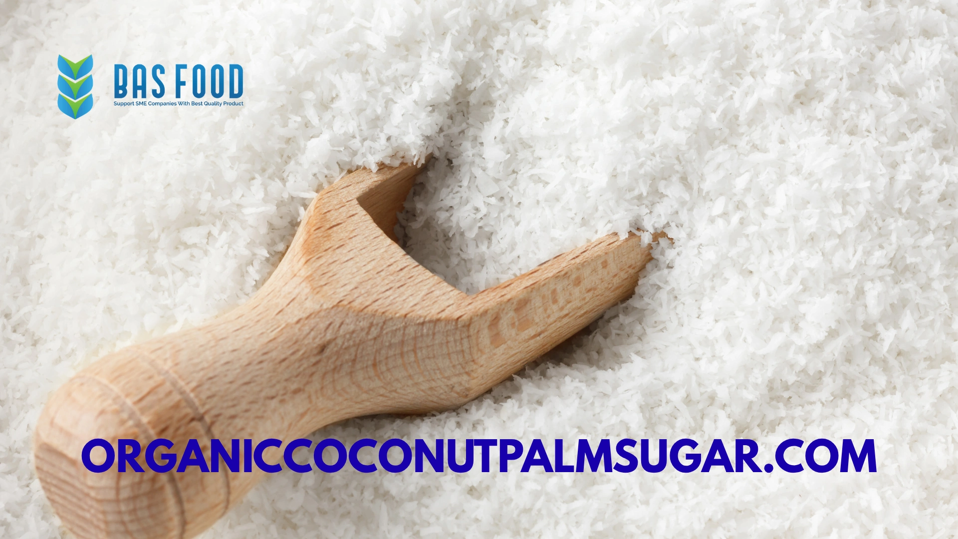 desiccated coconut processing modern industry